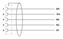 Sensor cable - 5-positions, PUR halogne-free, black-gray RAL 7021, shielded (Advanced Shielding Technology), free cable end, straight M12, coding A 